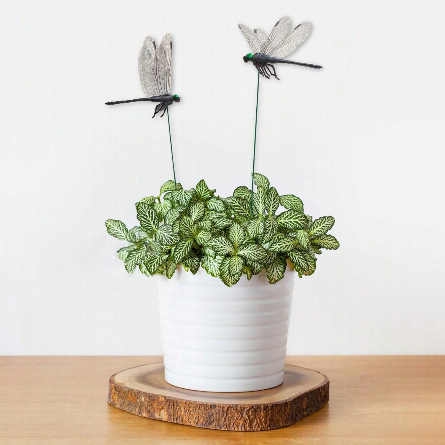10 Pcs Dragonfly Decorative S, - 3D Printing Pot ulasan dan harga