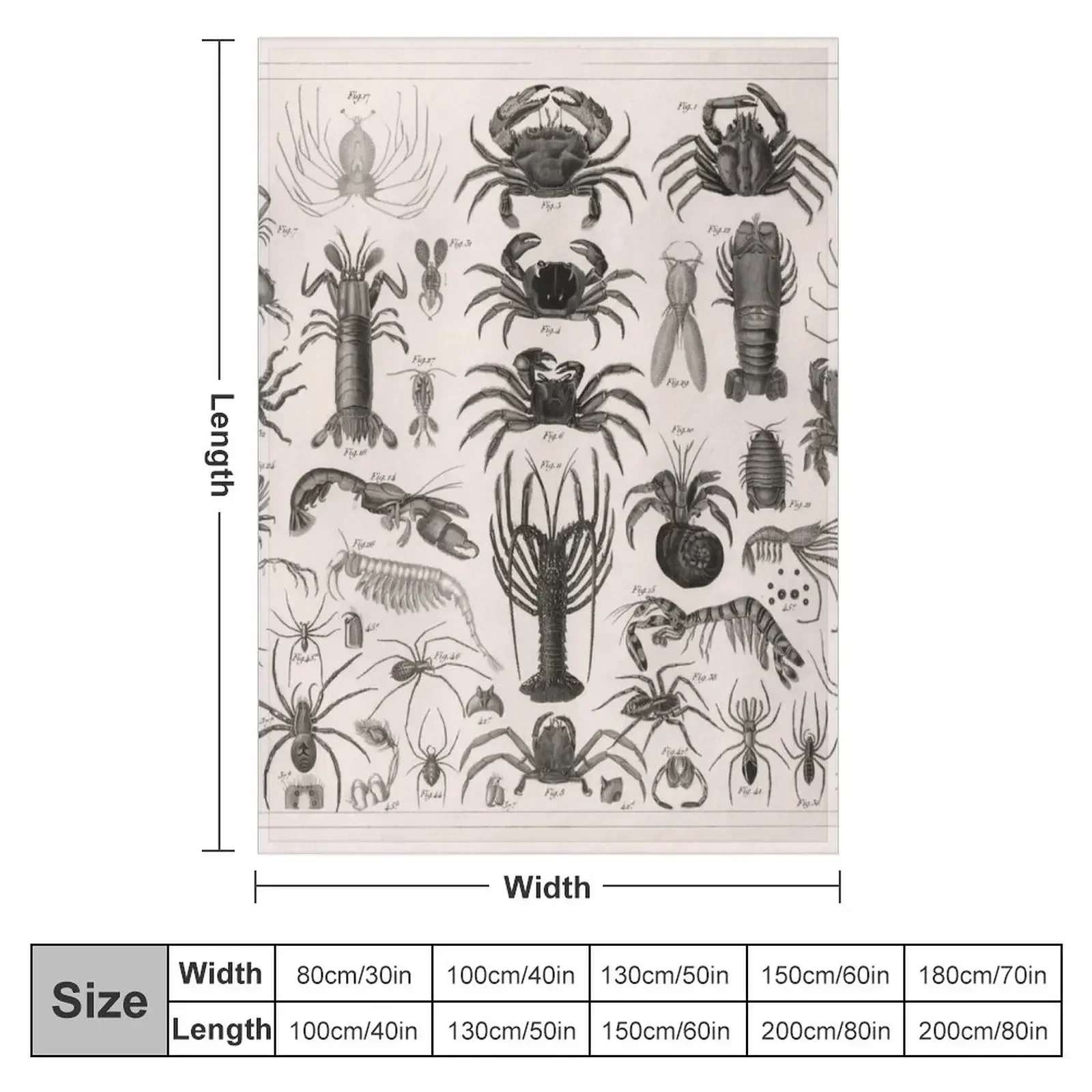 1857 Diagram Zoology: Animals  - 3D Printing Diagram ulasan dan harga