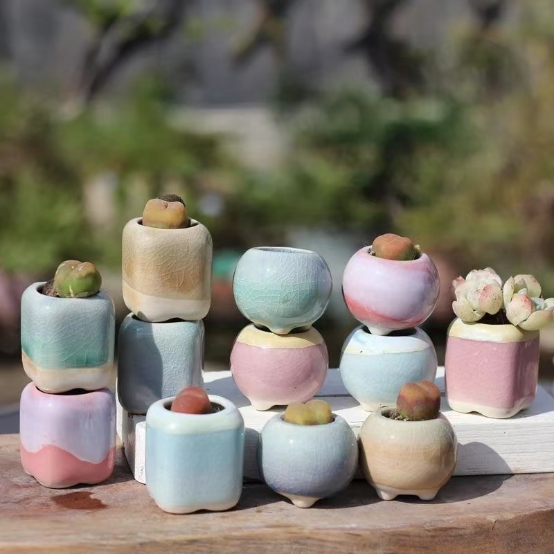 6Pcs Mini Flowerpot Succulents - 3D Printing Pot ulasan dan harga